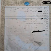 زمین-مزروعی