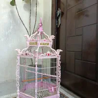 قفس پرنده