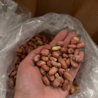 بادام درشت آستانه|خوردنی و آشامیدنی|رشت, پیرکلاچای|دیوار