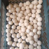 کشک گاو بهداشتی