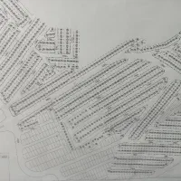 زمین-پرواز-پارک-جنگلی