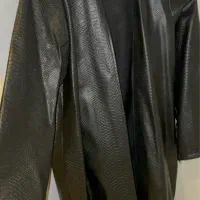 پالتو بارانی کت چرمشلوار شومیز مانتو پبراهن|لباس|تهران, تهرانپارس غربی|دیوار