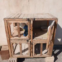 قفس پاجفتی چوب روس