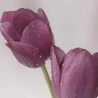 لوازم کلینیک زیبایی