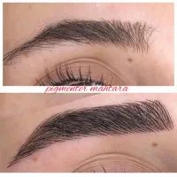 میکروپیگمنتیشن و میکروبلیدینگ ابرو ، فیبرز و ...|خدمات آرایشگری و زیبایی|بجنورد, |دیوار