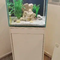 اکواریوم ریملس