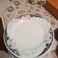 پلوخوری ژاپنی اصل
