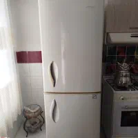 یخچال خانگی