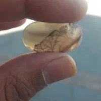 شجر|کلکسیون اشیاء عتیقه|زنجان, |دیوار