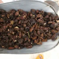 کشمش‌گله‌افتابی‌نیشابور