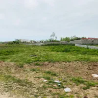 زمین باغی (ویو ابدی شالیزار)