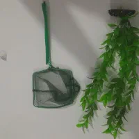 فروش فوری آکواریوم ۶۰ لیتری با تجهیزات کامل|ماهی|پرند, فاز ۱|دیوار