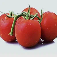 نشا گوجه بادمجان فلفل هندوانه کلم بروکلی گل کلم|خدمات باغبانی و درختکاری|جیرفت, |دیوار