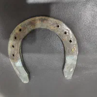 نعل اسب اصلی|اسب و تجهیزات اسب‌سواری|یاسوج, |دیوار