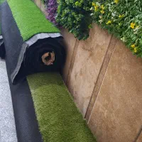 چمن مصنوعی و گرین وال|مصالح و تجهیزات ساختمان|گرگان, |دیوار