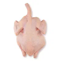 مرغ کامل