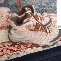 کفش|کیف، کفش، کمربند|شاهین‌شهر, طالقانی|دیوار