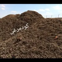 کود مرغی مرغوب خالص