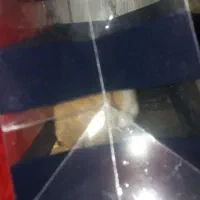 همستربامزه وبازیگوش ماده