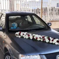 عرضه مستقیم گلدون و گیاه‌های تزئینی تازه