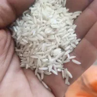 برنج هاشمی محلی