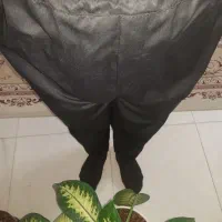 شلوار مشاور(مشهدی)|لباس|کاشان, فین بزرگ|دیوار