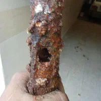 متخصص نشت یابی تشخیص ترکیدگی تعمیرات لوله کشی|خدمات پیشه و مهارت|همدان, |دیوار