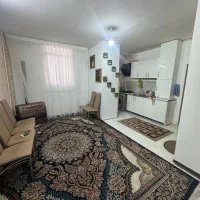 فروشگاه اپارتمان اگه بدهی نداشتیم نمیفروختم ..