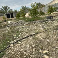 فروش-یا-معاوضه-باغچه