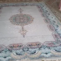 فرش و قالیچه|فرش|قم, ولیعصر|دیوار