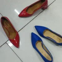 زنانه مجلسی ۱۹۹ت|کیف، کفش، کمربند|بیرجند, |دیوار