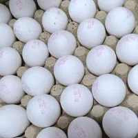 نیازمند به یک بازاریاب و توزیع پخش تخم مرغ|استخدام بازاریابی و فروش|سعدآباد, |دیوار