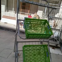 استند میوه و سبزیجات