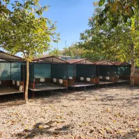 باغ و سفره خانه