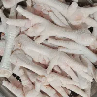 پای مرغ