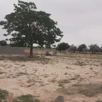 فروش زمین شاهنامه ۶۹آرامگاه فردوسی شهرک ویلای زاک|فروش زمین و ملک کلنگی|مشهد, توس (بلوار توس)|دیوار