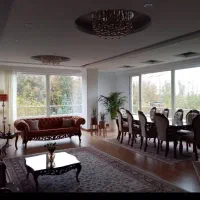 تجاری کف درختی پا خور