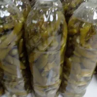 خیار شور تازه وابغوره  ب صورت کیلو وعمده