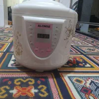 پلوپزآلونسا8نفر