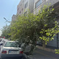 فروش-در-والفجر-بلوار-سپیده