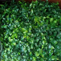 گرینوال ابلق5050|گل مصنوعی|تهران, دروازه شمیران|دیوار