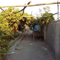 ۱۵۰۰ متر باغ سنددار|فروش دفتر صنعتی، کشاورزی، تجاری|کویرات, |دیوار