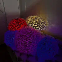 دسته گل های پروانه ای