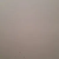 کارت شهروندی گم شده