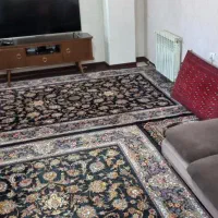 اجاره آپارتمان ۵۲ متری ۱ خوابه در شهرک طالقانی