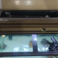آکواریوم شرکتی+میز+تزیینات