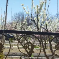 فروش باغ ویلا