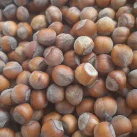 فندق خوشمزه وخوش طعم و عالی دیلمان