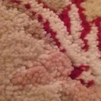 پادری