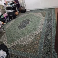 فرش|فرش|ساری, |دیوار